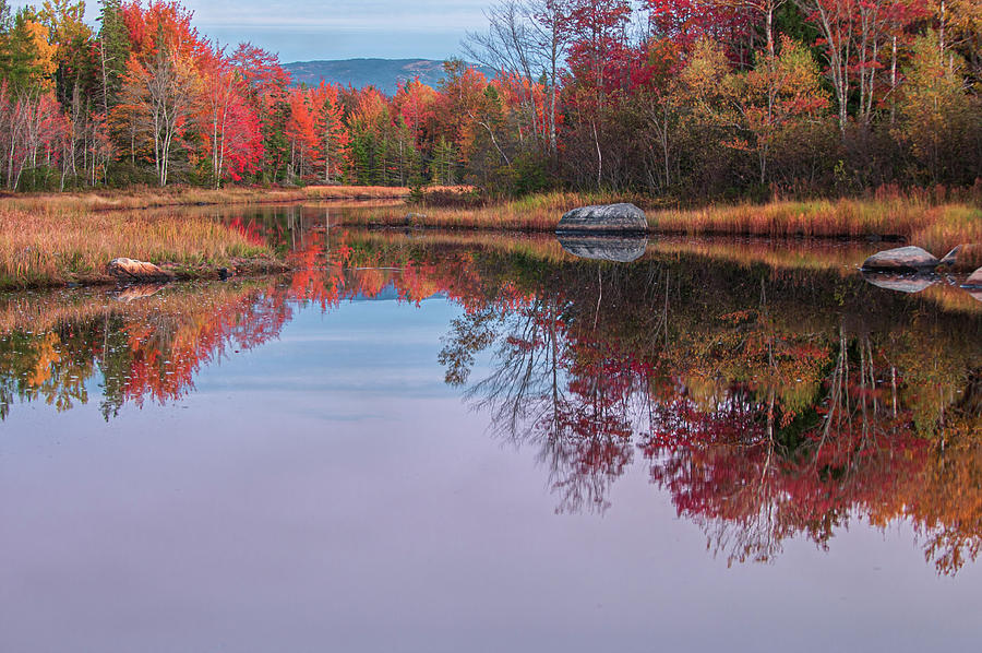 Autumn Reflections Photograph by Paul Mangold