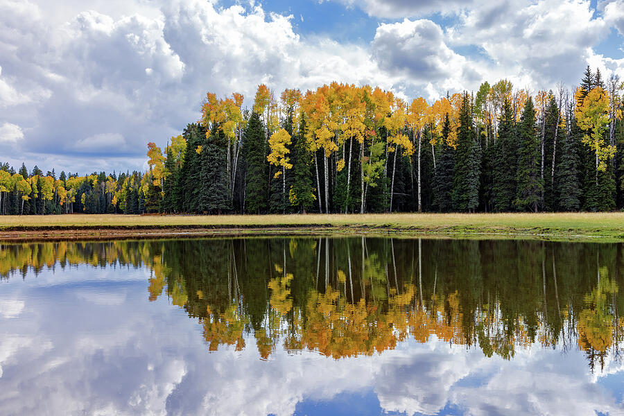 Autumn Reflections Photograph by Rick Furmanek
