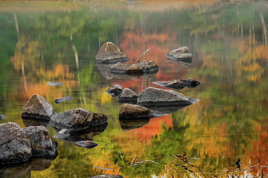 Autumn reflections Photograph by Robert Miller