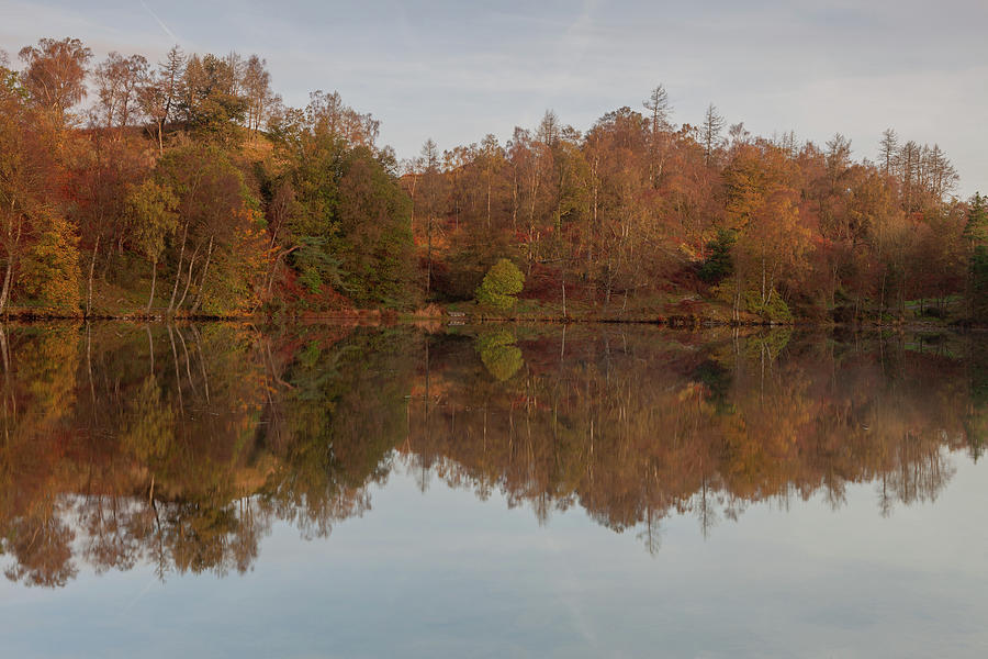Autumn Reflections, Tarn Hows Photograph by Nick Atkin