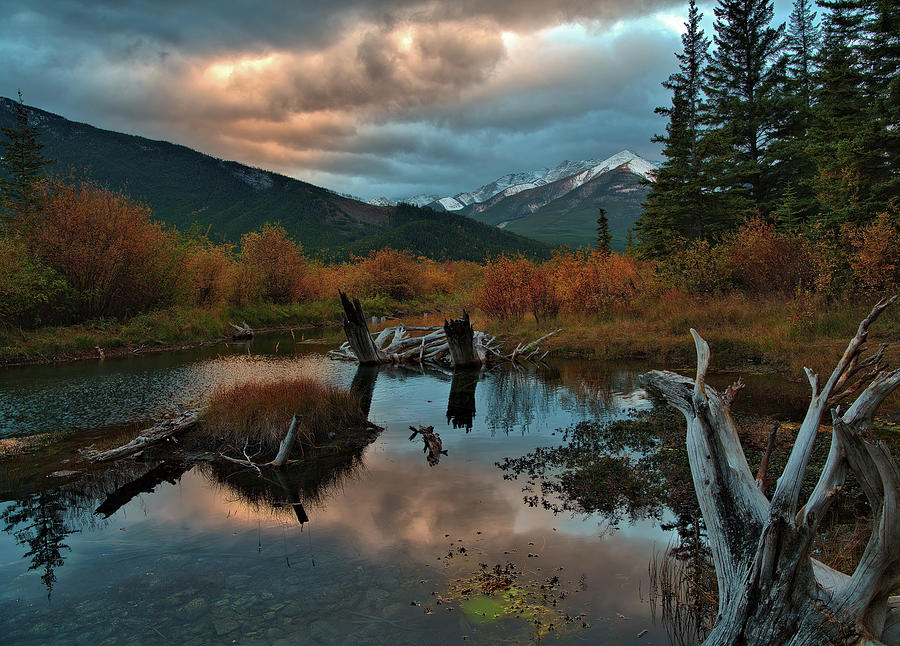 Autumn Reflections - Vermillion Lakes  Photograph by Stephen Vecchiotti