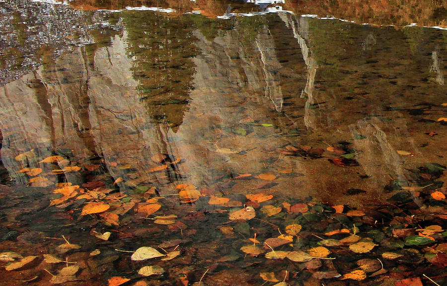 Autumn Reflections Photograph by Walter Fahmy