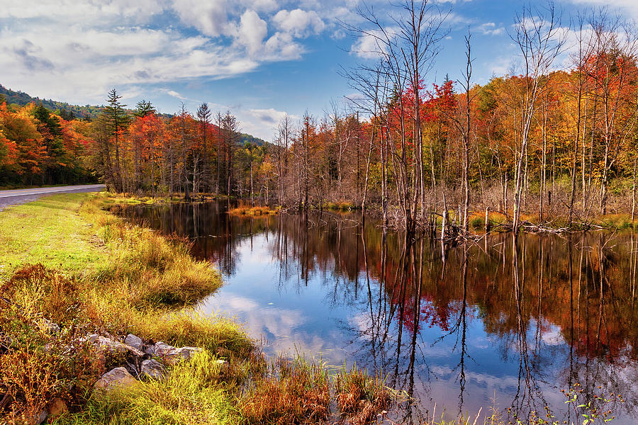 Autumn Restful Reflections Photograph by Dan Carmichael