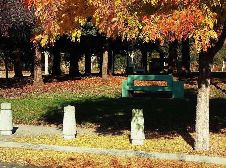 Autumn Resting Place Photograph by Richard Thomas