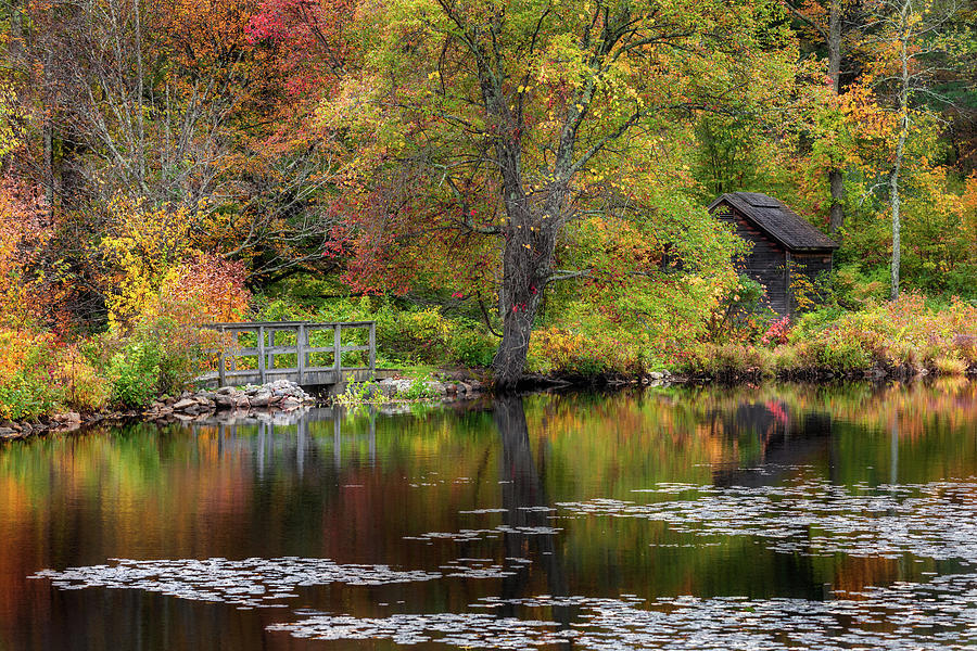 Autumn Retreat Photograph by Bill Wakeley