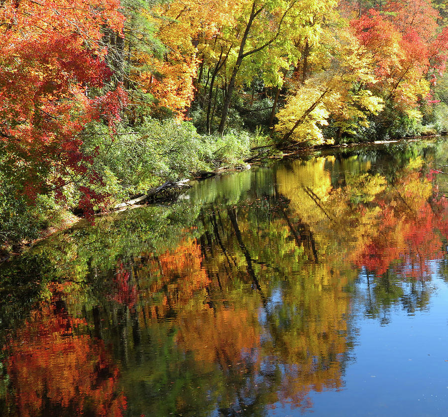 Autumn River Array Photograph