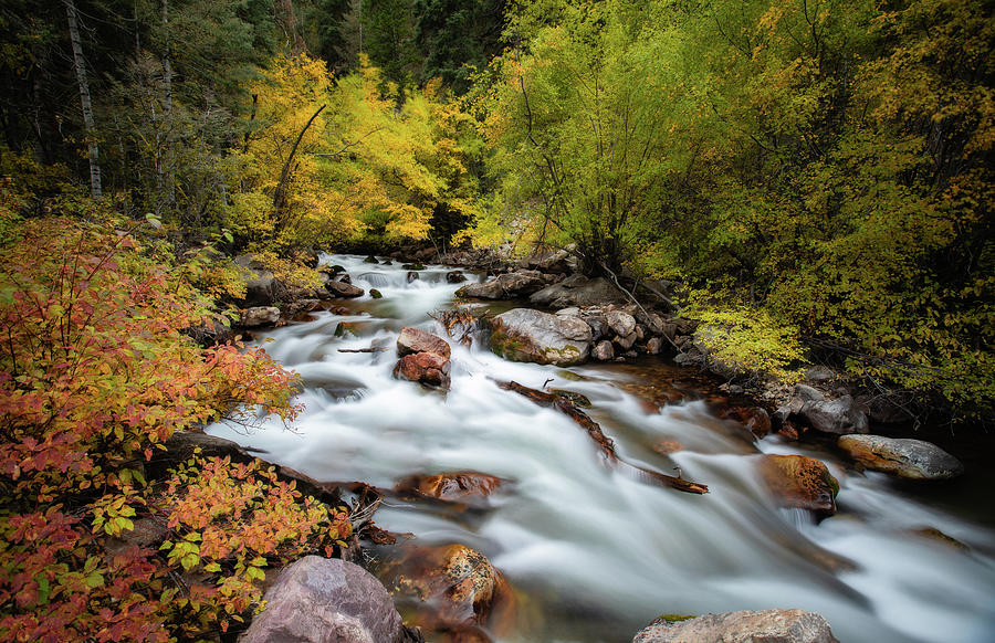 Autumn River Photograph by Darlene Smith