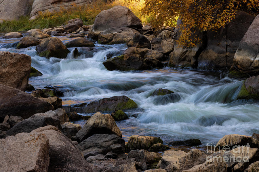 Autumn River in Eleven Mile Photograph by Steven Krull