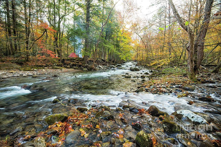 Landscape Photograph - Autumn River In Great Smoky Mountains by Felix Lai Landscape Photograph - Autumn River In Great Smoky Mountains by Felix Lai