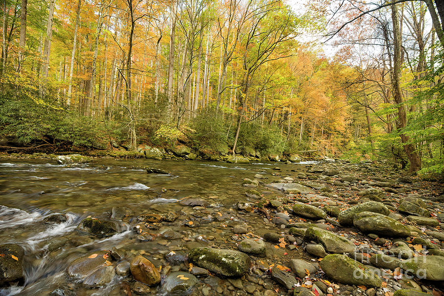 Autumn River In The Great Smoky Mountains National Park Photograph by Felix Lai