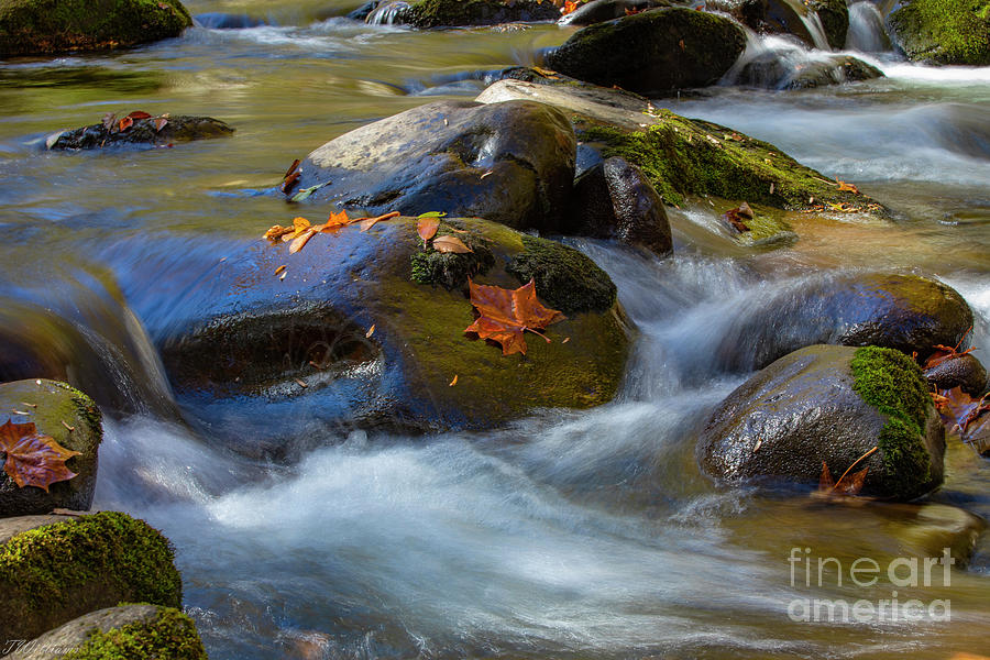 Autumn River in the Smoky Mountains Photograph by Theresa D Williams