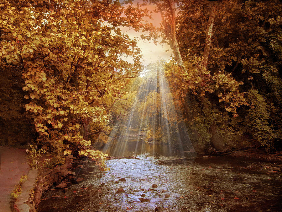 Tree Photograph - Autumn River Light by Jessica Jenney