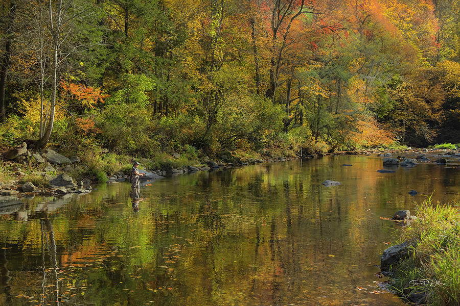 Autumn River Memories Photograph by Theresa D Williams