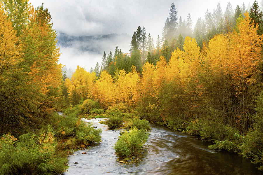 Autumn River Photograph