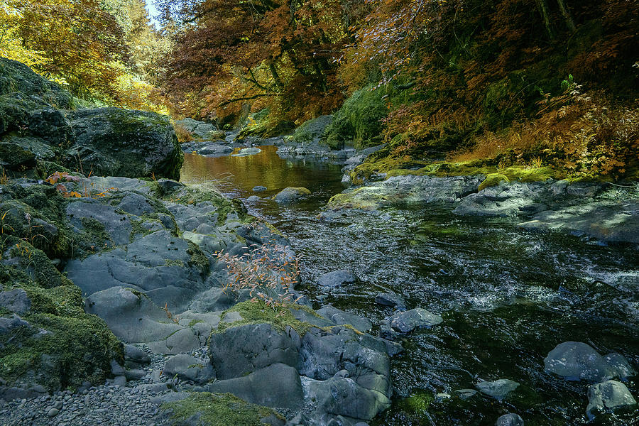 Autumn River Rocks Photograph by Bill Posner