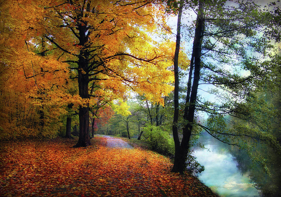 Autumn River View Photograph by Jessica Jenney
