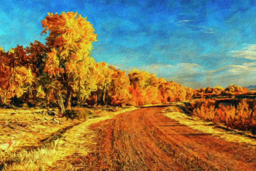 Autumn Road-001-C Photograph by David Allen Pierson