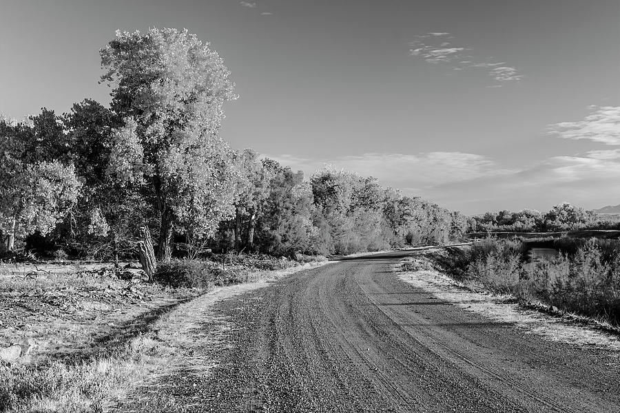Autumn Road-002-M Photograph by David Allen Pierson