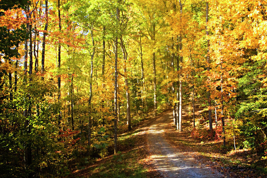 Autumn Road Photograph by Alan Hausenflock