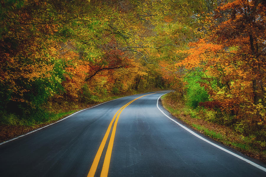 Autumn Road Photograph by Allin Sorenson