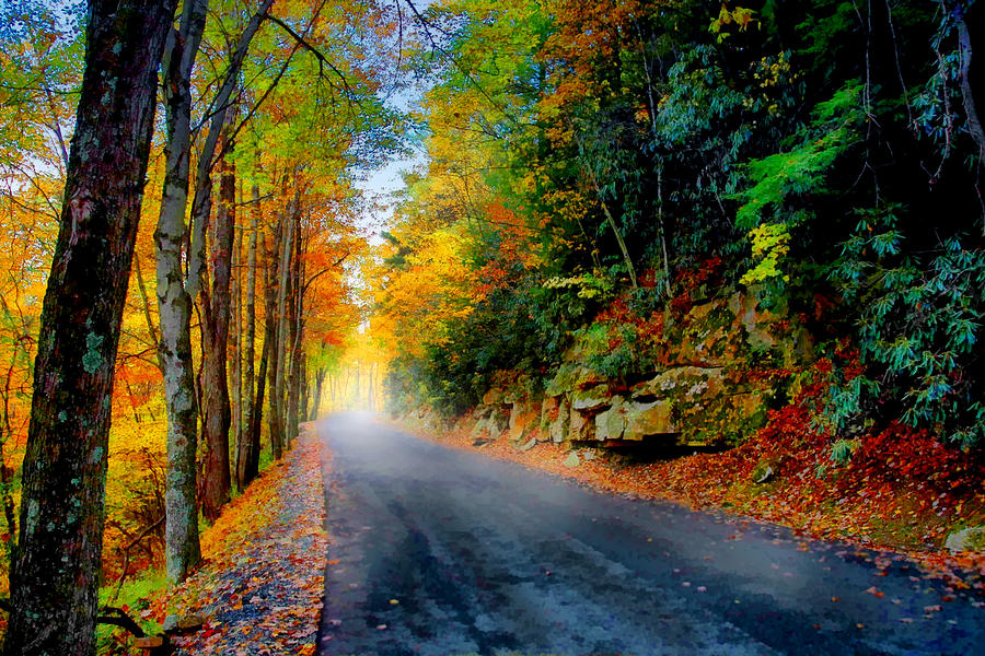 Autumn Road Mixed Media