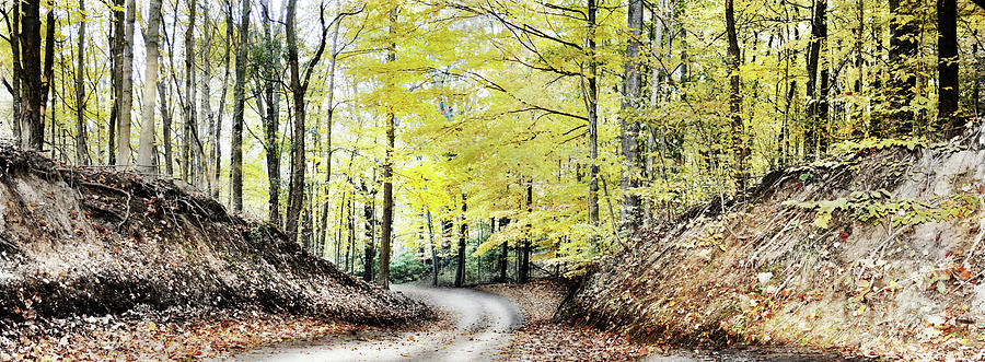 Autumn road Photograph by Gina Signore