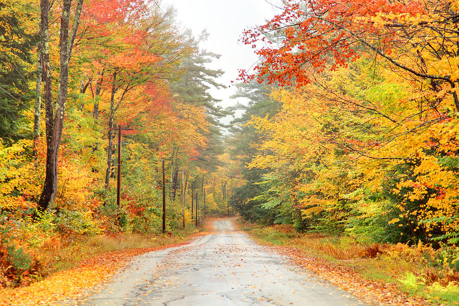 Autumn Road in New Hampshire Photograph by DenisTangneyJr