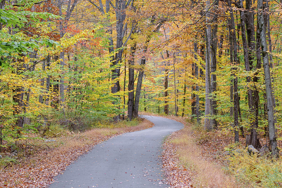 Autumn Road in the Poconos Photograph by Amelia Pearn