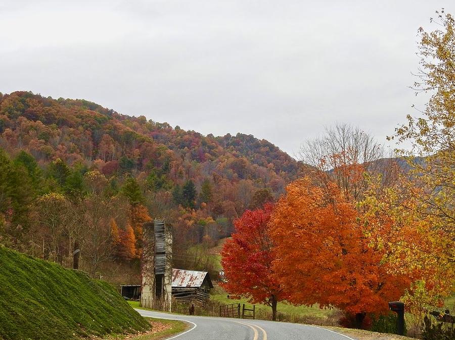 Autumn Road Photograph by Kathy Chism