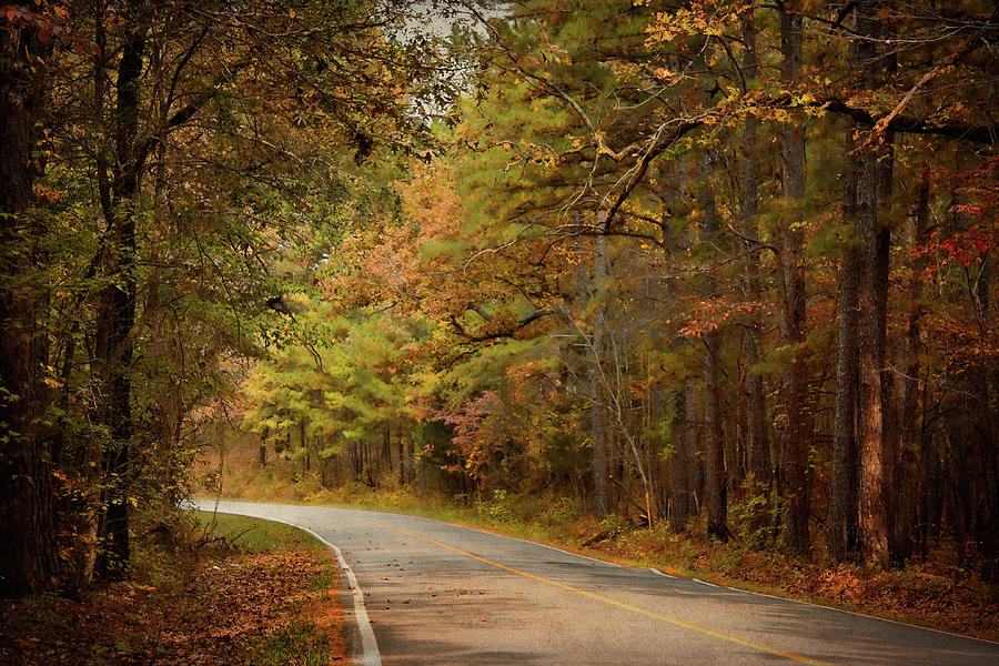 Autumn Road Photograph by Lana Trussell