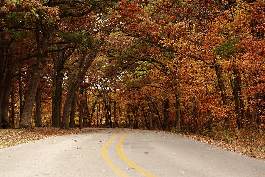 Autumn Road Photograph by Lens Art Photography By Larry Trager