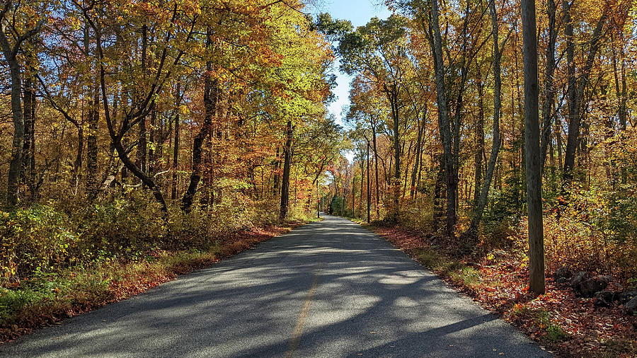 Autumn Road - North Stonington CT Photograph by Kirkodd Photography Of New England