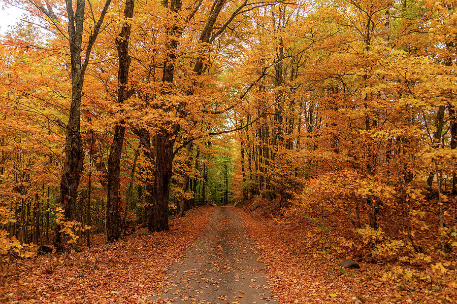 Autumn Road - Peacham Photograph by Tim Kirchoff