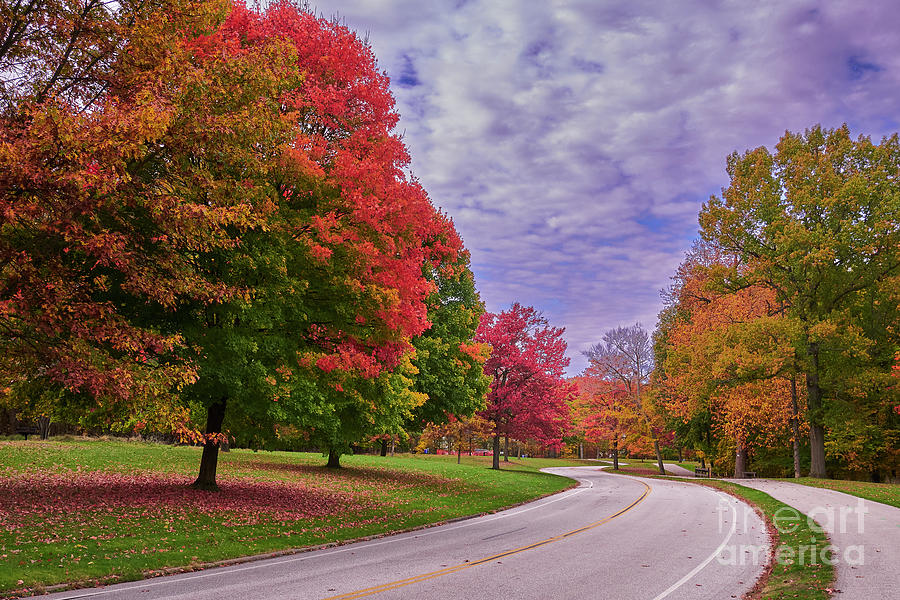Autumn Road Photograph by Steve Ondrus