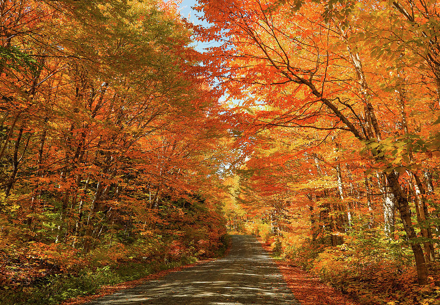 Autumn Road Through Baxter State Park Photograph by Dan Sproul