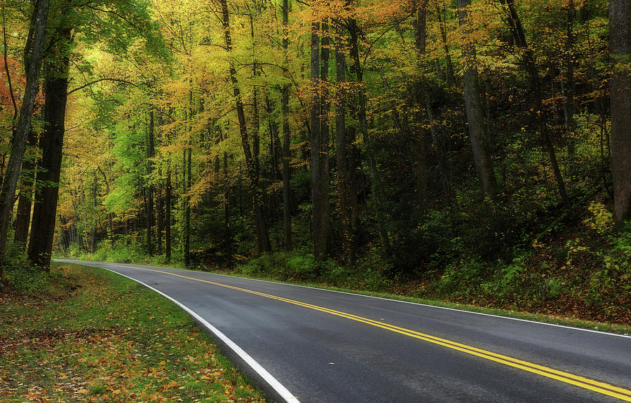 Autumn Road Through Smoky Mountains Park Photograph by Dan Sproul
