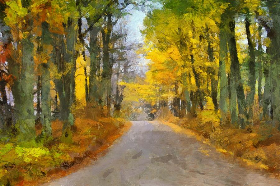 Autumn Road Photograph by Tricia Marchlik