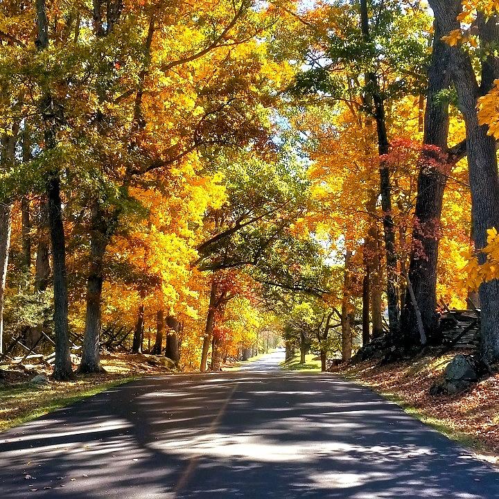Fall Photograph - Autumn Roads by Angela Davies
