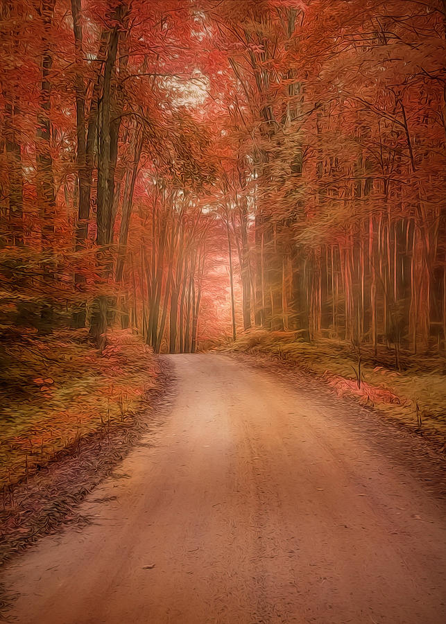 Autumn Roads Photograph by Sandra Js