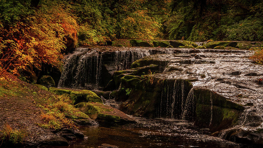 Autumn RockFalls Photograph by Bill Posner