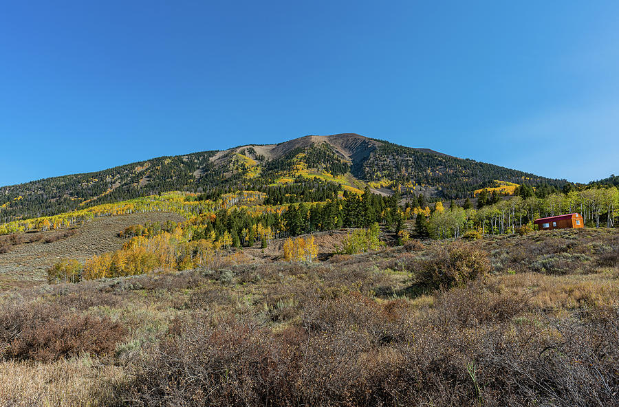 Autumn Rocky Mountain Cabin Heaven Photograph by Ron Long Ltd Photography