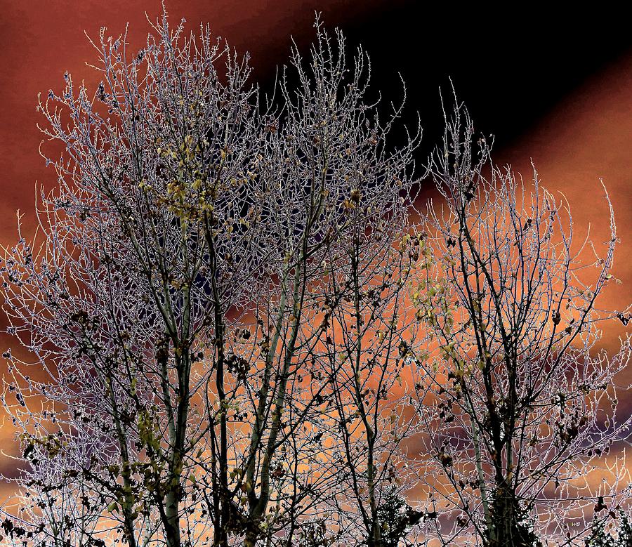 Autumn Sandstone Sky Digital Art by Will Borden