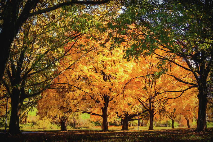 Autumn Saturation Forest Park St Louis Impressionistic GRK4504_11012020 Photograph by Greg Kluempers