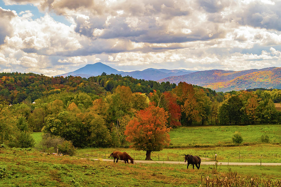 Autumn scene in Vermont Photograph by Ann Moore