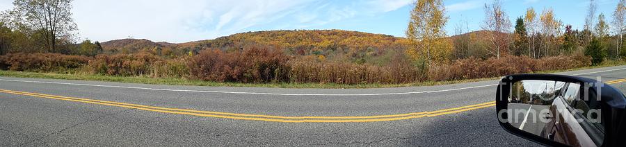 Autumn Gold Drive Wide Pano Photograph