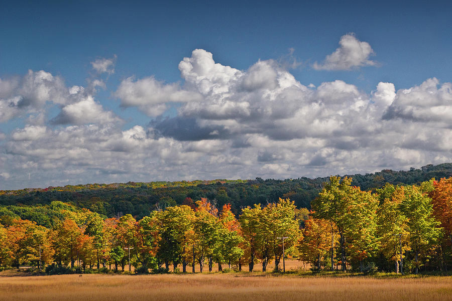 Autumn Scenic with a Row of Trees and Cloudy Blue Sky  Photograph by Randall Nyhof