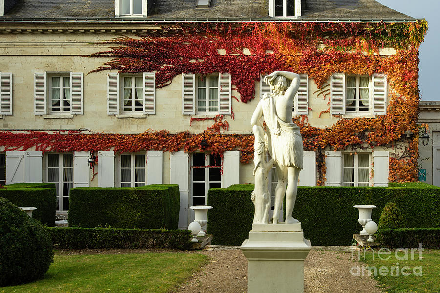 Autumn Sculpture French Chateau Region The Loire Valley Amboise France Photograph by Wayne Moran