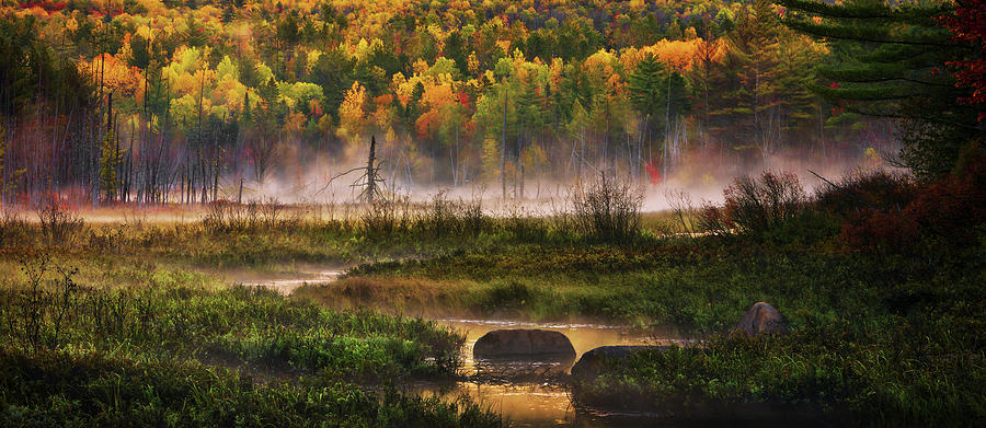 Autumn Season a2869 Photograph by Greg Hartford