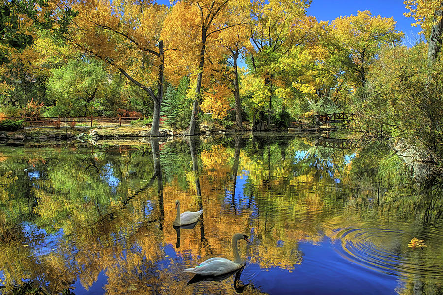 Autumn Serenity Photograph by Donna Kennedy