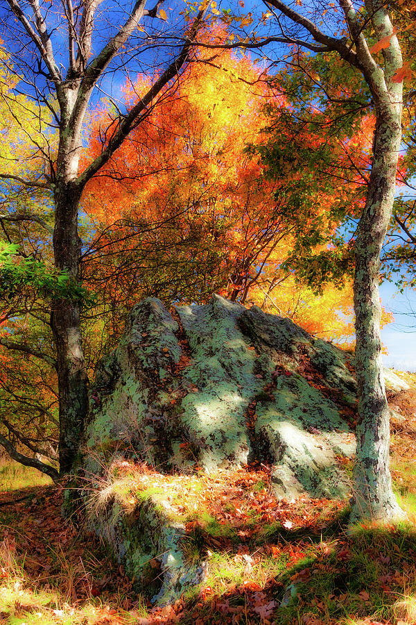 Autumn Shaded Rock Photograph by Dan Carmichael